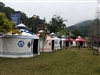 新竹內灣老街露營地‧松林茶花露營區