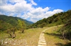 清境山隱森林民宿·露營區