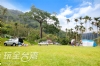 阿里山露營‧光華露營區