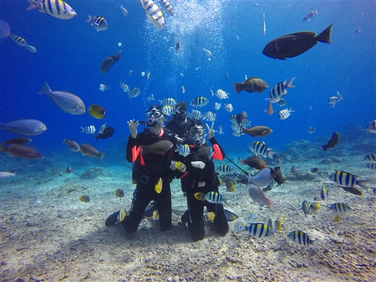 綠島月光城堡潛水中心Moos Diving Center