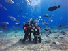 綠島．寧靜海潛水 Twinkleocean Diving