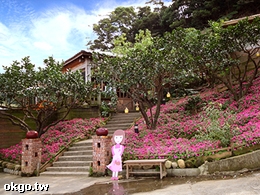 八里桃樂絲森林餐廳