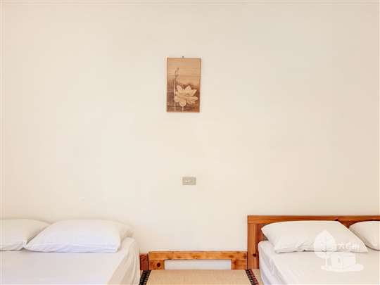 嘉義民宿‧白樹腳驛棧