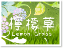 澎湖檸檬草民宿