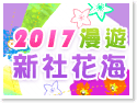 2017新社花海