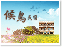 金門候鳥民宿