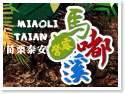 苗栗泰安‧馬嘟溪露營區