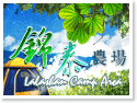 拉拉山錦泰農場營地