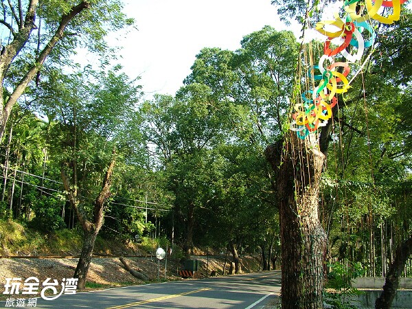集集綠色隧道 南投景點 玩全台灣旅遊網