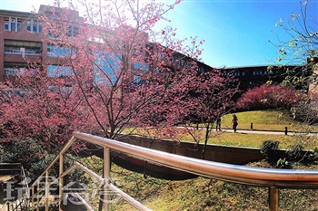 暨南大學