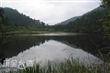 鴛鴦湖自然生態保育區