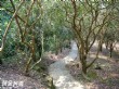 草嶺水濂洞步道