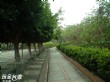 德美公園