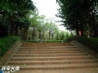 德美公園