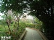 德美公園