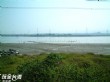 大肚溪水鳥自然公園