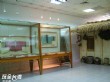 台南市自然史博物館