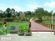 蓮花公園