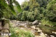 蓬萊溪自然生態園區(護魚步道)