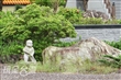 青龍山不動寺