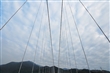丹林吊橋