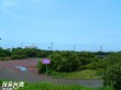 永安鹽田濕地