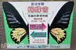 台北市成功高中昆蟲博物館