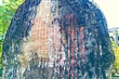 噶瑪蘭紀念公園