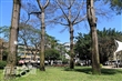新泰公園