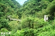 瑞里風景區．青年嶺步道、吊橋