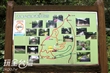 青年公園