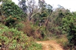六義山登山步道