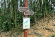 六義山登山步道