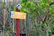 六義山登山步道