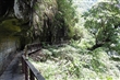 竹坑溪步道