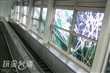 空中的雨林-高捷世運站