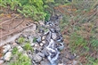 東埔布農部落(望鄉部落)
