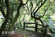 四百崁登山步道