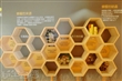 蜂之鄉蜜蜂生態教育館