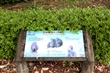 二水臺灣獼猴生態教育館