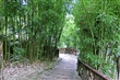 谷關溫泉公園