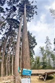 五元兩角