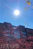 暨南大學