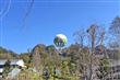 九九峰氦氣球樂園