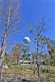 九九峰氦氣球樂園