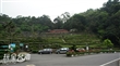 木柵貓空茶園
