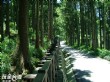 藤枝森林遊樂區