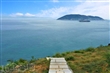 大坵島賞鷗