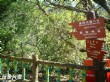 奧萬大森林遊樂區